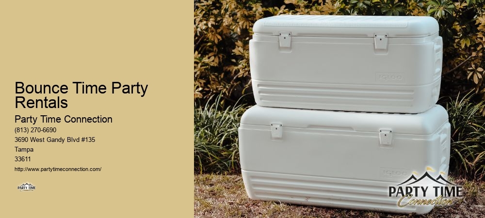 Party Moonwalk Rentals
